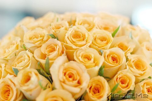 ����������ʹ�࣬˵��������л����� (2)