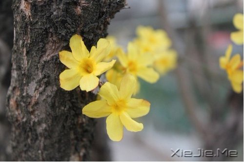 �簲���һ����£�������� (10)