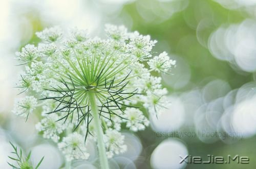 ����һЩ�£�����һЩ�� (6)