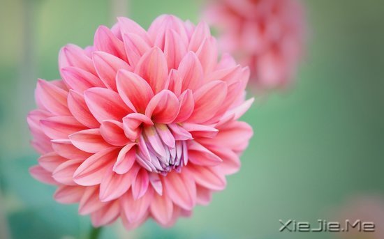 文字:要少做的十件事 (4)