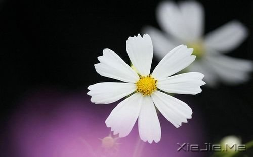 ֻҪ�Լ�Ŭ���ͺ� (1)